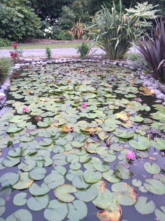 Water Lily Garden Acomodação com café da manhã Christchurch Exterior foto